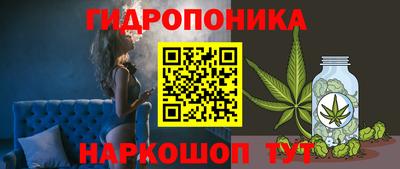 прущие крисы Обь