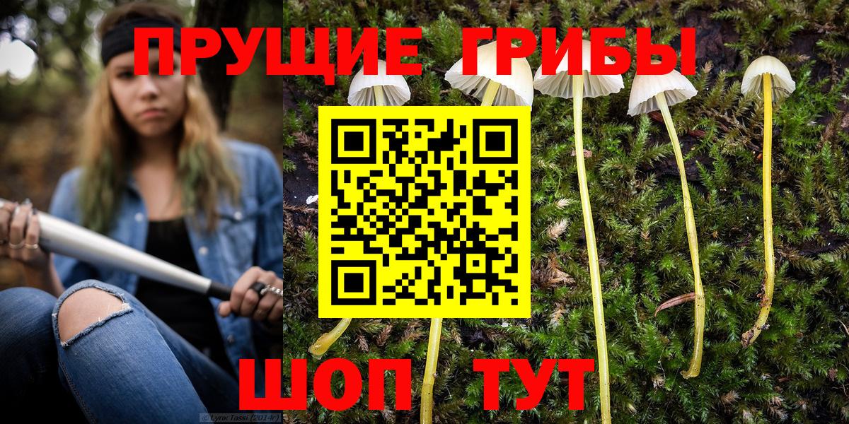Псилоцибиновые грибы Psilocybe  Галлюциногенные грибы Psilocybine cubensis  Вход с VPN  Ревда 