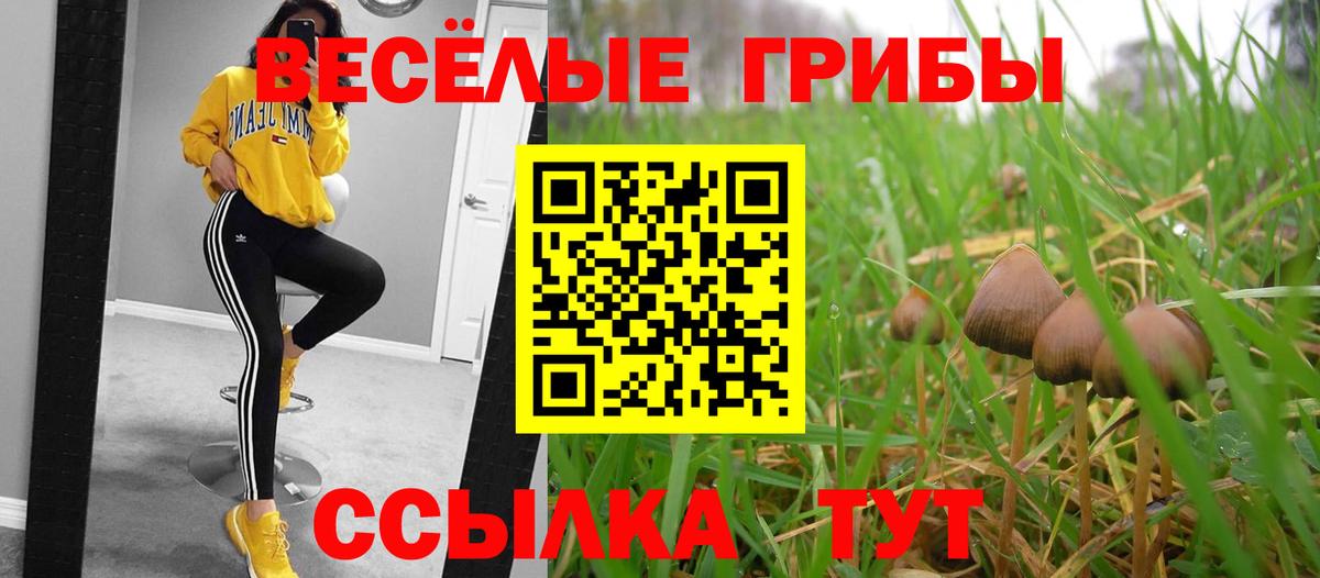 Кокаин Ревда
